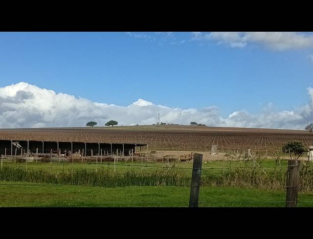 235HA FARM FOR SALE IN STELLENBOSCH FARMS